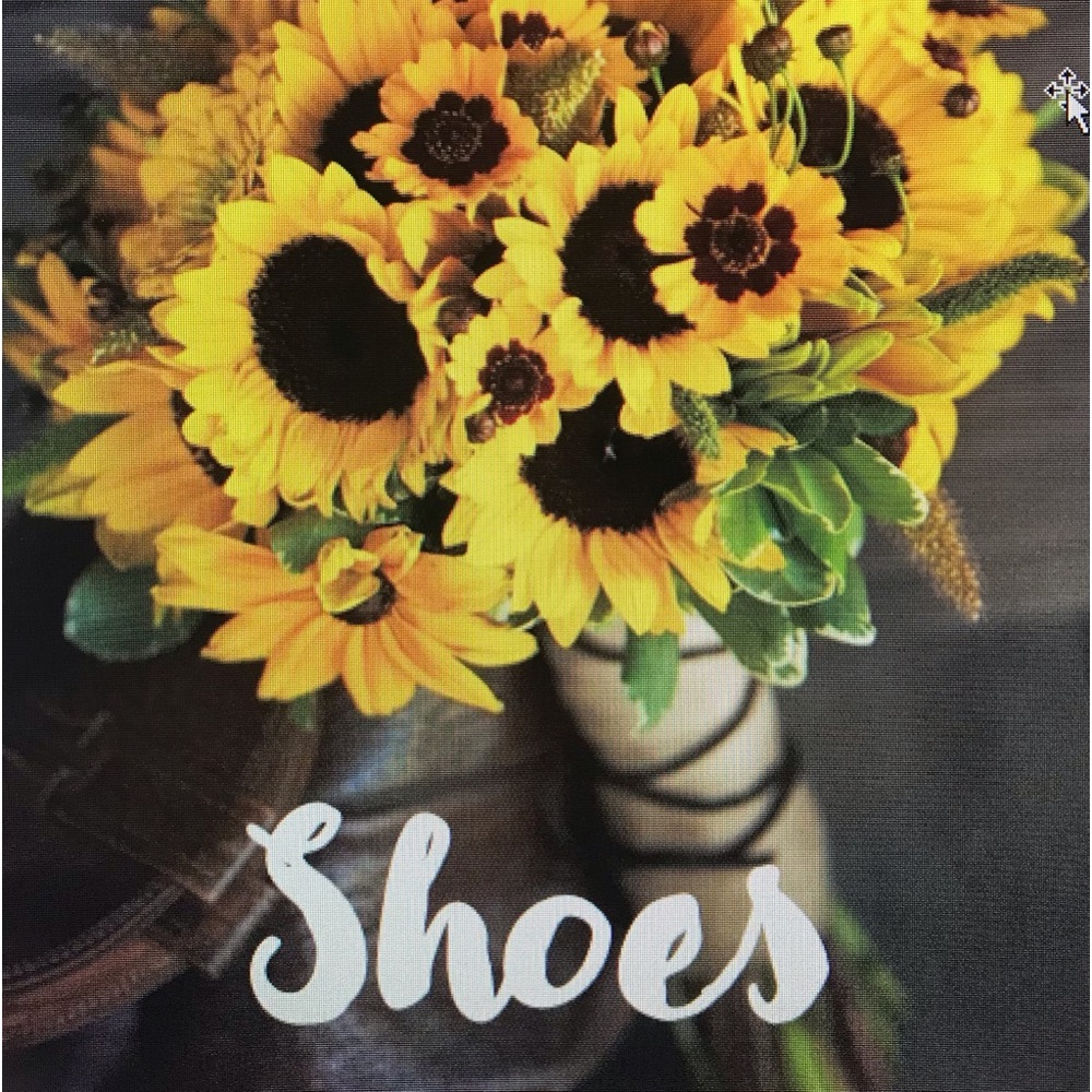 Shoes - Picture 1 of 1